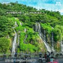 지도 왕벚나무길 이미지