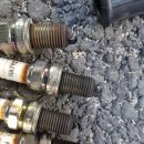 애니카랜드 호매실점 이미지