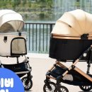 디아크 동물병원 이미지