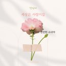 찬란한 세상 이미지
