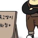 근육고양이잡화점