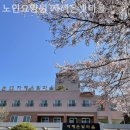 대전 서구 요양원 노인요양원 자혜은빛마을 추천 리스트
