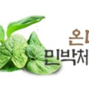 온다네민박 이미지