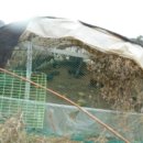 봉소2리마을회관 이미지