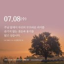 연중 제14주간 수요일 이미지