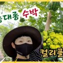 다우리농장 이미지