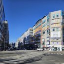 용인대 도담 태권도장 이미지