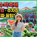 양산신-1011 | 2026 함안 수박축제 기간 라인업 주차장 직접 다녀온 진짜 꿀팁