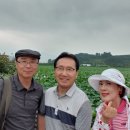 유등리 Daum카페