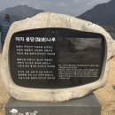 유창수농장 네이버블로그