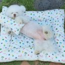 카라인 용품점 이미지