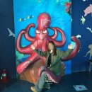 ㈜경포아쿠아리움 | 강릉가볼만한곳 경포아쿠아리움 실내데이트 놀거리추천 할인 총정리
