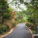 부채박물관 이미지