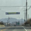 해양공원 B동 | 내돈내산) 홍성남당항 새조개축제에서 새조개 포장해서 새조개샤브샤브 먹기(주차, 가격)