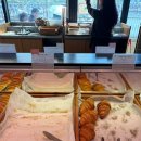 커피베이 킨텍스점 | 김포현대아울렛 근처 요트뷰 대형카페 빵 고르는 족족 맛있었던 베이콜로지 샹그리나점 내돈내산 후기