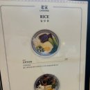 라오송