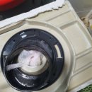 믿음배관 이미지