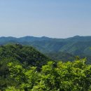 대송면 운제산등산로 이미지