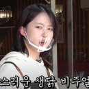 순살이네통닭 티스토리