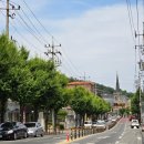 영주 근대역사문화거리 | 영주시내가볼만한곳 근대역사문화거리 &amp; 체험관 역사 여행