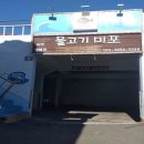 물고기 미포 티스토리