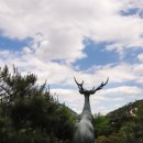 상명대학교 경영대학원 이미지