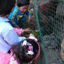 숲속나라 이미지