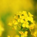 산좋고물좋고 이미지