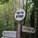 부산도~~ 산이다!!!! 산 가득!~~ 푸드 가득!~~ 푸드득!💩