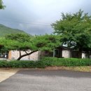 산내알프스펜션 | 경주산내 알프스펜션 저렴하고 수영장 있는 펜션