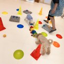 댕구르르 유치원 이미지