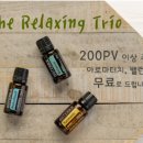 도테라힐링의집