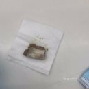 모리동물병원 이미지