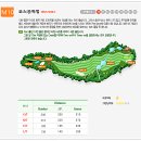 오투 이미지