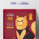 에어부산 주식회사 이미지