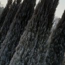 금영농장 이미지