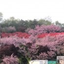 완산-35 이미지