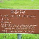 성문당