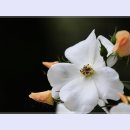 곡성-079 티스토리