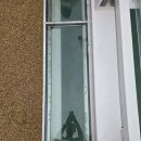 고성 송지호 바다 하늘길 시범운영 기간 방문후기