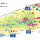 진달래약국 이미지