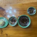 대장금 | 광주 남구 주월동 짜장면·볶음밥 맛집 "대장금"중국집//배달 후기//