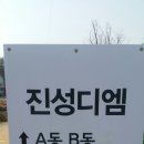 진성디엠