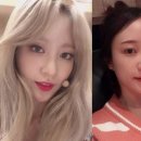 수수라이프 이미지