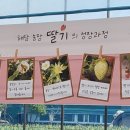 해담농장 이미지