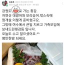 여수준호네생선