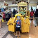 이필수 농장 | 하와이 돌플랜테이션(Dole Plantation) 방문 후기