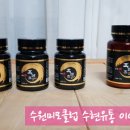 수현유통