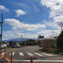 장미반점 이미지