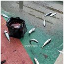 정자항 공중화장실 이미지